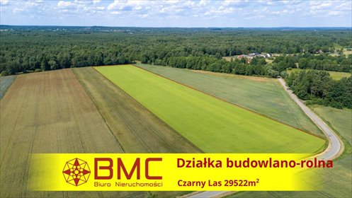 działka na sprzedaż 29522m2 działka Woźniki, Czarny Las, Czarny Las