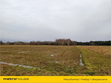 Działka rolna na sprzedaż Chrząstawa, Widawa 23 994m2 Foto 2