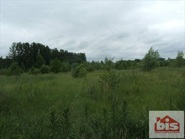 Działka rolna 11 047 m² z lasem i łąkami w Kościukach działka Kościuki, Kościuki