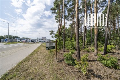 działka na sprzedaż 11500m2 działka Laski