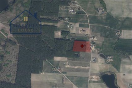 Zapraszam do zakupu działki 17 354 m² z własnym stawem w Skarlinie działka Skarlin