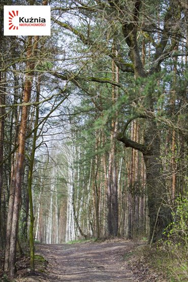 działka na sprzedaż 4135m2 działka Warszawa, Wesoła