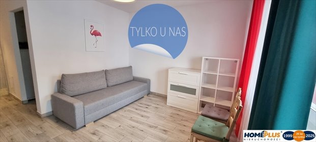 mieszkanie na wynajem 31m2 mieszkanie Poznań, Szeląg, Szeląg, Wilczak