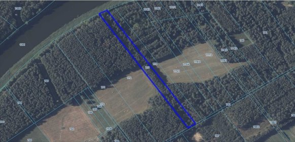 Działka leśna nad Narwią – 10 545 m2, cisza i natura działka Nowogród