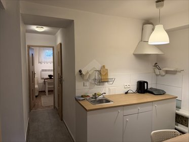 Lokal użytkowy 31 m² - inwestycja lub działalność w Krakowie lokal użytkowy Kraków, Krowodrza, Nowa Wieś, Gramatyka