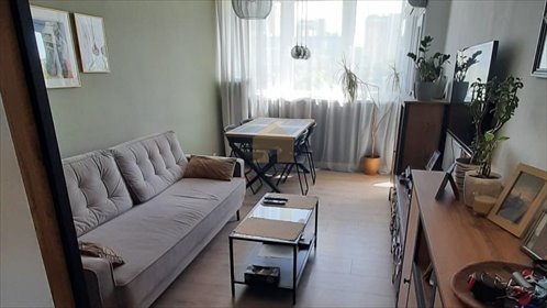 Nowoczesne 3-pokojowe mieszkanie z klimatyzacją i widokiem mieszkanie Lubin, Bieszczadzka