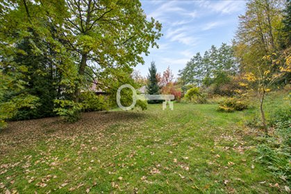 Zapraszam do obejrzenia działki 2610 m² w Bolechowicach działka Bolechowice, Winnica