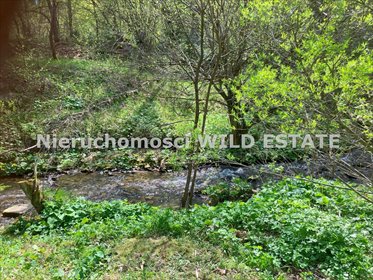 Dom na sprzedaż Cisna, Przysłup 508m2 Foto 5