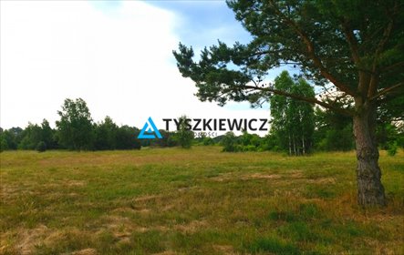 działka na sprzedaż 3581m2 działka Białogóra