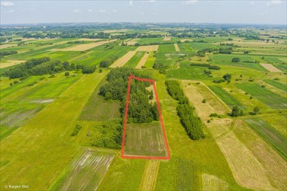 działka na sprzedaż 9800m2 działka Zaborów