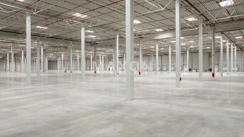 lokal użytkowy na wynajem 40000m2 lokal użytkowy Bolesławiec, ul. Modłowa