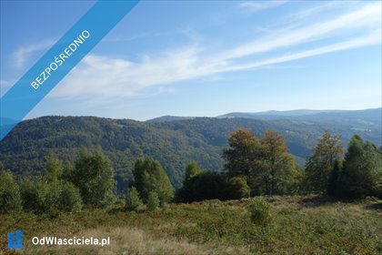 działka na sprzedaż 25300m2 działka Brenna