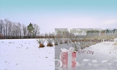 działka na sprzedaż 1620m2 działka Kazimierz Dolny