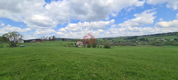 działka na sprzedaż 1500m2 działka Jałowe