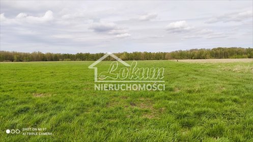 działka na sprzedaż 80000m2 działka Niedźwiedź