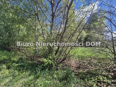 działka na sprzedaż 2313m2 działka Korwinów