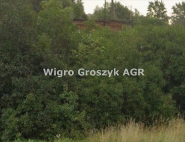 Działka pod zabudowę z własnym ujęciem wody i asfaltowym dojazdem działka Secyminek