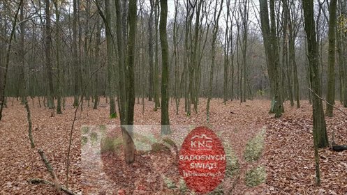 działka na sprzedaż 5800m2 działka Samoklęski