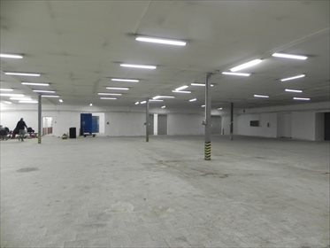 Polecam magazyn 2000 m² z rampą i ogrzewaniem w Katowicach lokal użytkowy Katowice, Roździeń, magazyn pod spożywkę