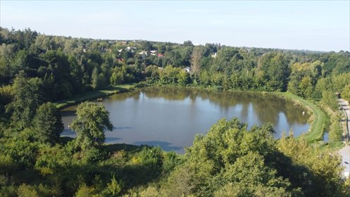 Na sprzedaż duża działka 36 400 m² z stawem i młynem w Lubelskiem działka Jakubowice Konińskie-Kolonia