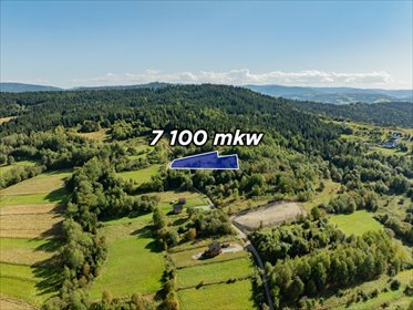 Zapraszam do zakupu działki rolnej 7100 m² z widokami w Kasina Wielka działka Kasina Wielka