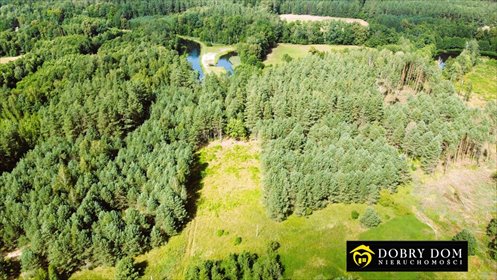Działka 1,82 ha nad Kanałem Augustowskim - polecam! działka Rudawka