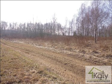 Działka rolna na sprzedaż Czarny Kierz, Czarny Kierz, Czarny Kierz 16 500m2 Foto 5