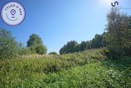 działka na sprzedaż 4731m2 działka Dąbrowa Górnicza, Błędów, Sztorcowa