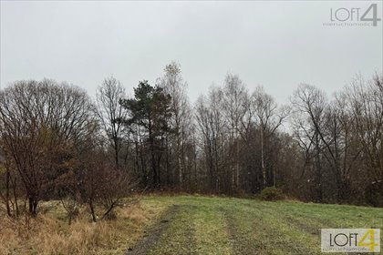 Do sprzedania działka budowlana 40 arów w Mystkowie działka Mystków