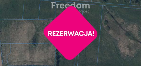 działka na sprzedaż 1500m2 działka Blanki