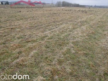 działka na sprzedaż 2900m2 działka Rogi