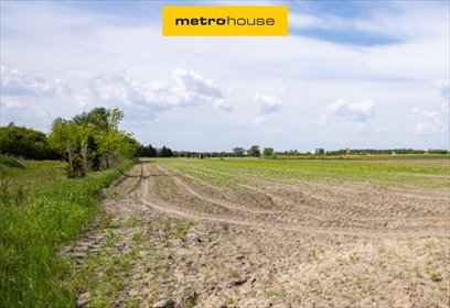 działka na sprzedaż 41719m2 działka Poznań, Pokrzywno