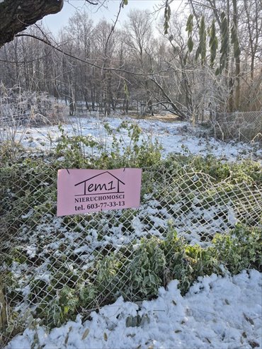 działka na sprzedaż 4290m2 działka Łany Wielkie, Wiejska