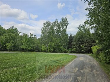 Działka 6967 m² z możliwością podziału, las, cisza działka Pniewy