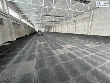 lokal użytkowy na wynajem 1277m2 lokal użytkowy Babice