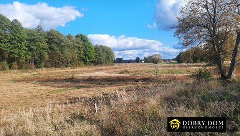 Polecam działkę 3043 m² z WZ i mediami, blisko miasta działka Krypno Kościelne