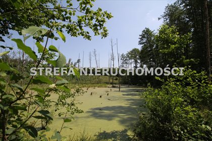 Działka leśna na sprzedaż Liciążna 2 128m2 Foto 6