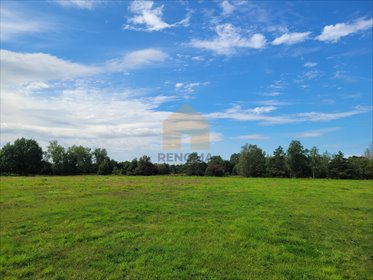 Polecam działkę 1200 m² pod zabudowę w Grzymalinie działka Grzymalin