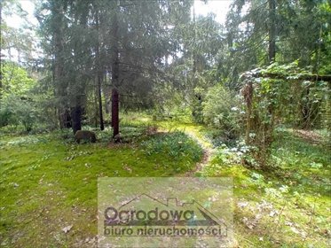 Działka budowlana 1400 m2 z przyłączami i lasem działka Nowe Załubice