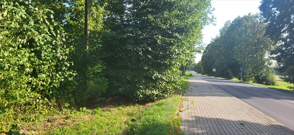 Działka 2061 m² w Suchoczasach (przy głównej drodze) działka Suchoczasy