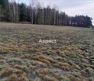 działka na sprzedaż 4200m2 działka Rakszawa