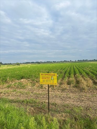 działka na sprzedaż 13205m2 działka Strojec