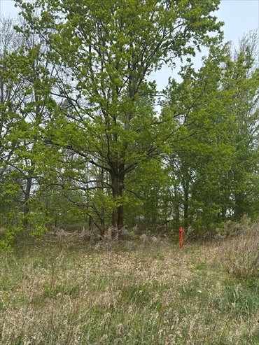 działka na sprzedaż 1500m2 działka Gawartowa Wola