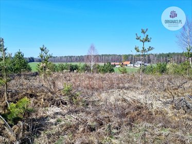Działka rolna na sprzedaż Biesówko, Biesówko 4 093m2 Foto 2