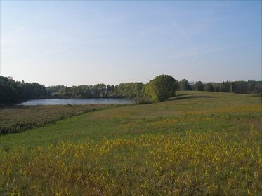 Działka z własnym jeziorem i warunkami zabudowy - zapraszam działka Stradzewo