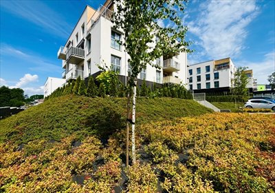 mieszkanie na sprzedaż 77m2 mieszkanie Rybnik, Paruszowiec, sOSNOWA, Sosnowa