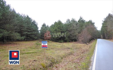 działka na sprzedaż 9870m2 działka Skrajnica, Księżycowa