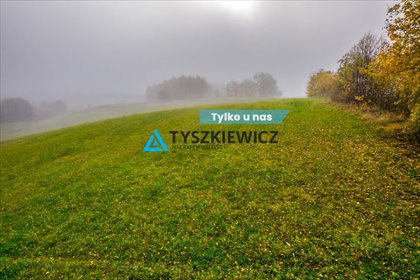 działka na sprzedaż 11519m2 działka Liniewo