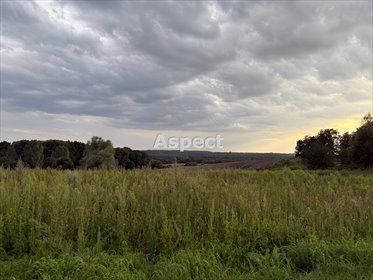 działka na sprzedaż 946m2 działka Turza Śląska
