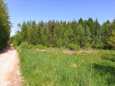 Działka budowlana na sprzedaż Przyjaźń 14 260m2 Foto 4